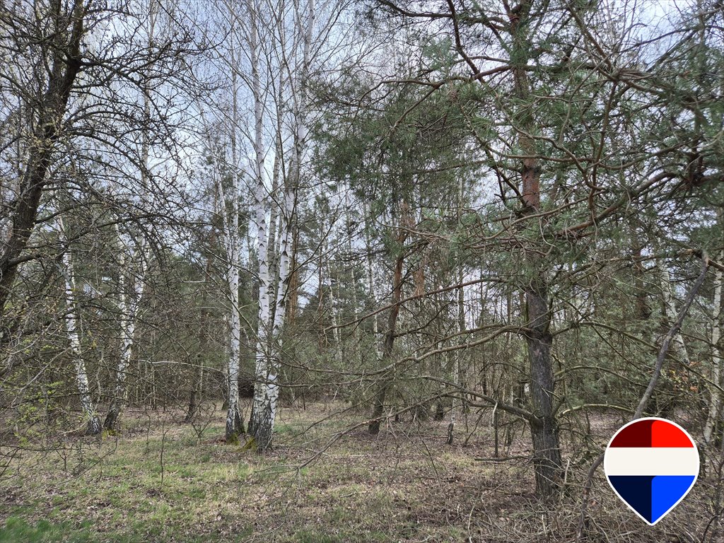 Działka 1432 m² pod dom w spokojnej okolicy z szybkim dojazdem Żyrardowski, Tarninowa  1 432m2 Foto 1