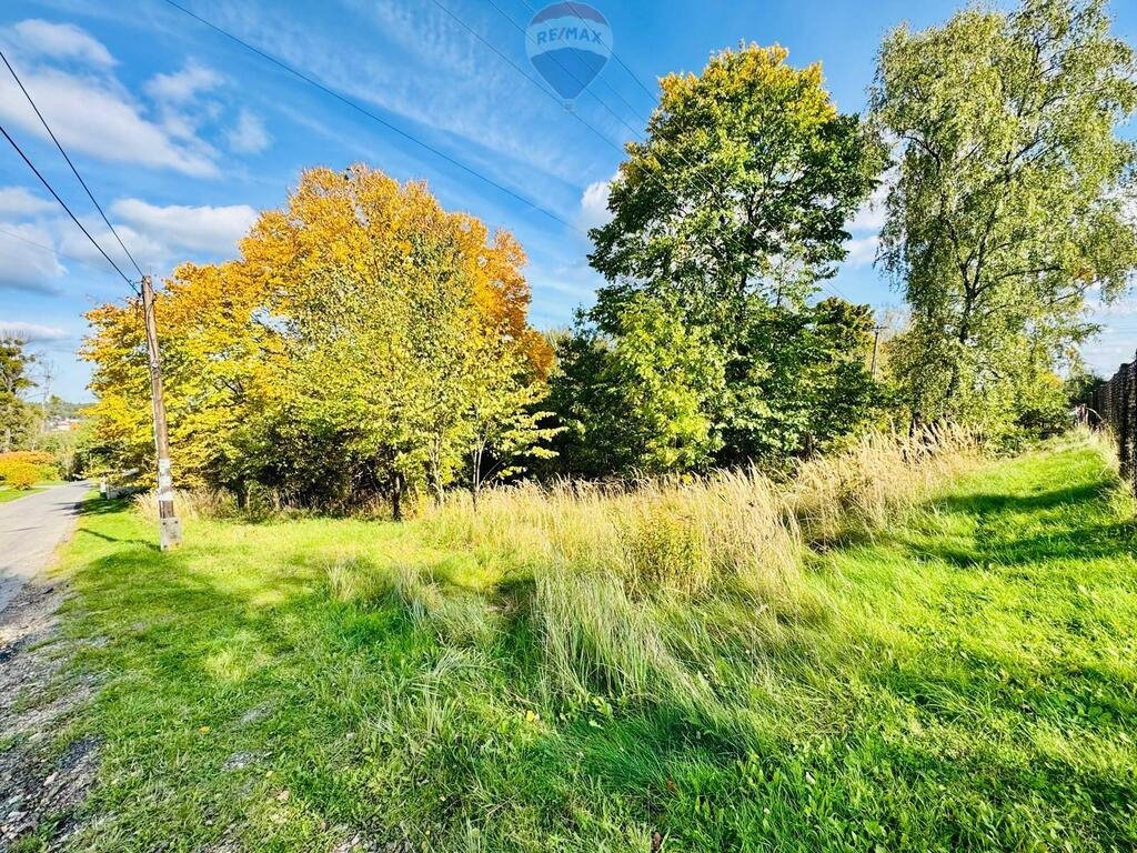 Działka budowlana na sprzedaż Rybnik, Ludwika Zamenhofa  3 979m2 Foto 1