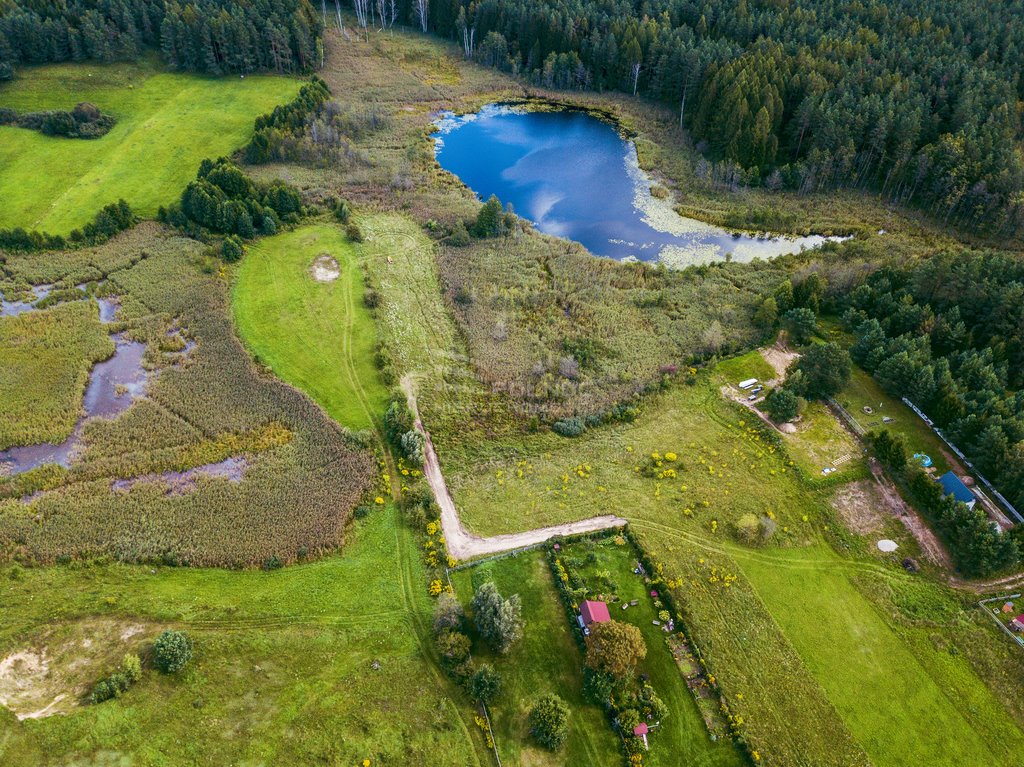 Działka budowlana na sprzedaż Płociczno  3 001m2 Foto 6