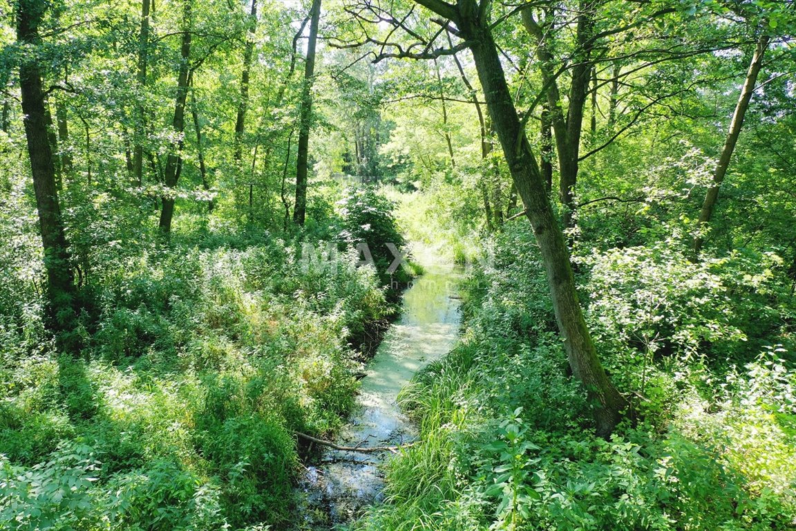 Działka budowlana na sprzedaż Gać  15 000m2 Foto 11