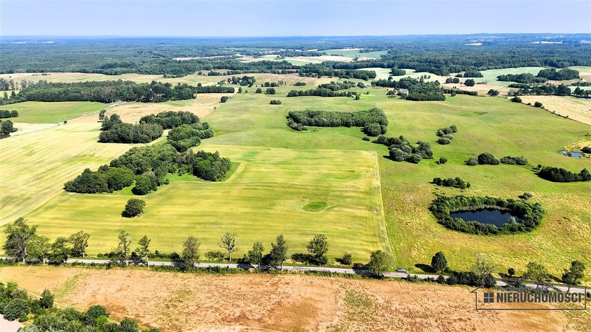 Działka inna na sprzedaż Mieszałki  139 900m2 Foto 3