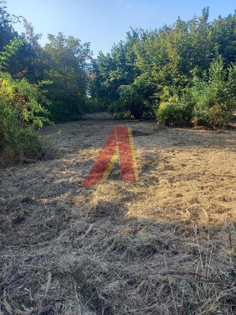 Działka budowlana na sprzedaż Modlniczka, Kwiecista  5 600m2 Foto 3