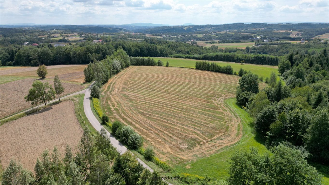 Działka budowlana na sprzedaż Gromnik, Siemiechów, Siemiechów, Siemiechów  1 025m2 Foto 4