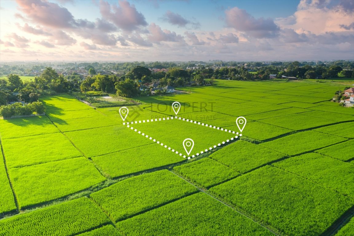 Działka 9 900 m² pod usługi i osiedle w Nowej Woli Nowa Wola, Słoneczna  9 900m2 Foto 1