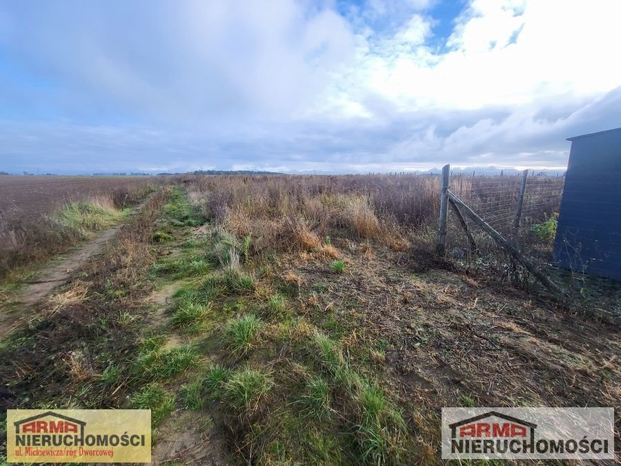 Działka rolna na sprzedaż Strachocin  1 004m2 Foto 5