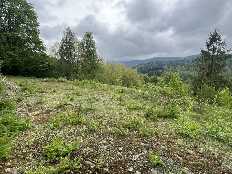 Działka budowlana na sprzedaż Wisła, Wisła  1 408m2 Foto 6