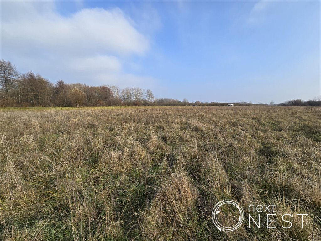 Działka siedliskowa na sprzedaż Wilczkowice Dolne  8 000m2 Foto 7