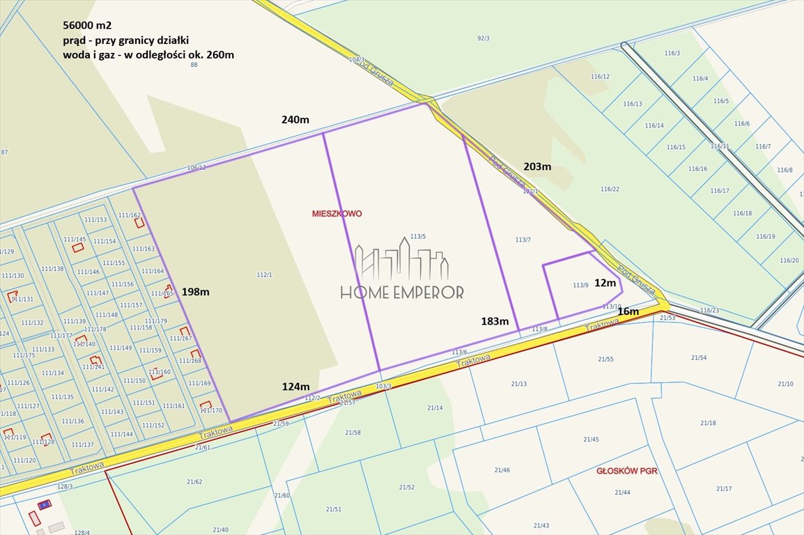 Działka rolna na sprzedaż Mieszkowo  56 000m2 Foto 1