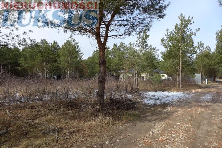 Działka budowlana na sprzedaż Łoś, Łoś 1 000m2 Foto 1 Działka budowlana na sprzedaż Łoś, Łoś 1 000m2 Foto 1