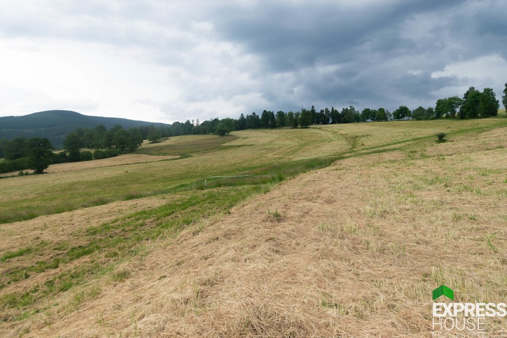 Działka budowlana na sprzedaż Stronie Śląskie, Polna  2 617m2 Foto 8