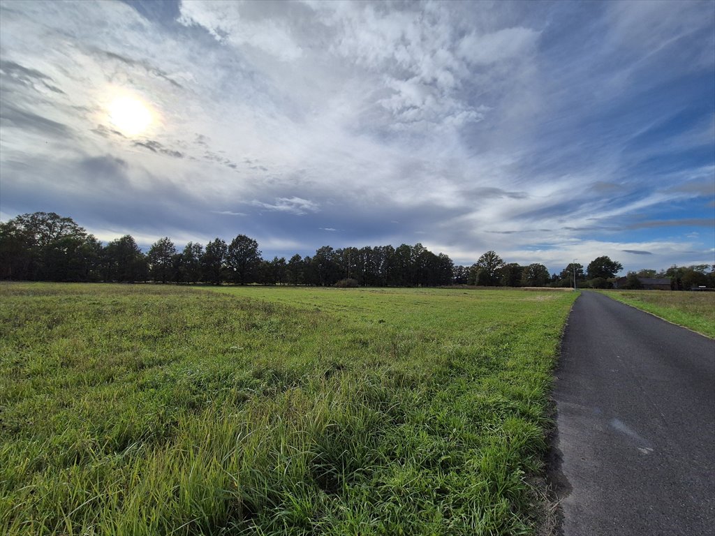 Działka budowlana na sprzedaż Kraśnik Dolny  1 453m2 Foto 4