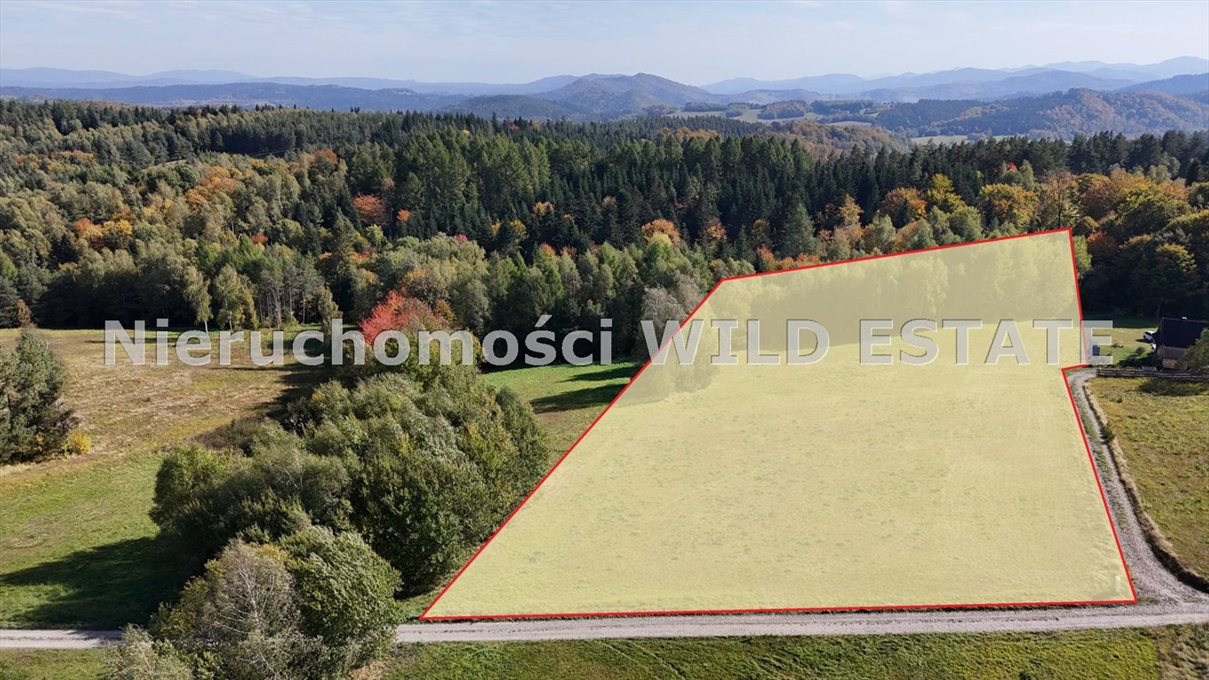 Na sprzedaż działka 9 571 m² z warunkami zabudowy w Bereżnicy Wyżnej Solina, Bereżnica Wyżna  9 571m2 Foto 1