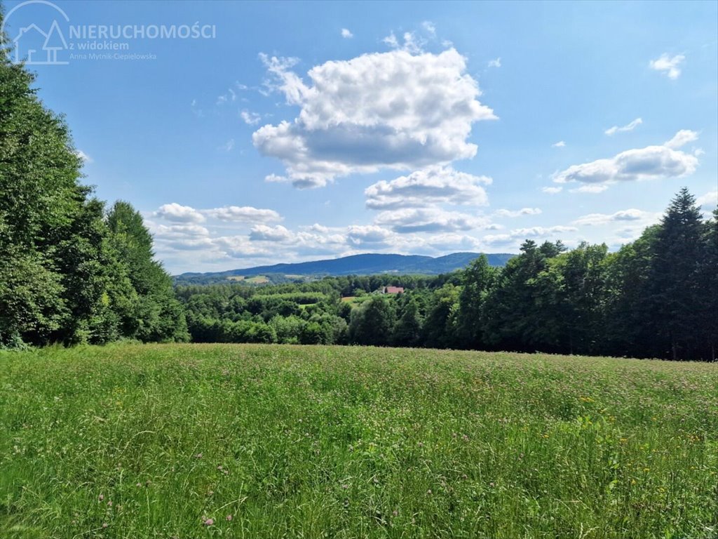 Działka budowlana na sprzedaż Błażkowa  2 559m2 Foto 3