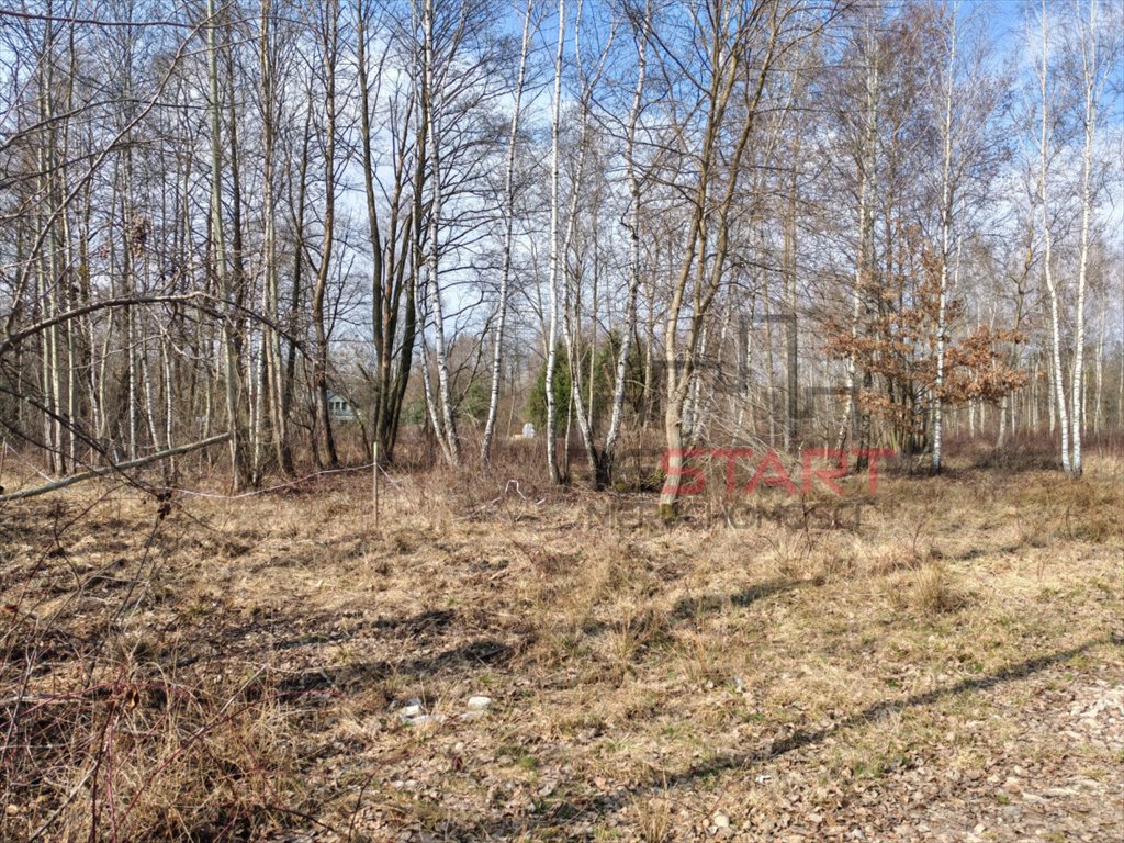Przestronna działka 8 294 m² w Czarnym Lesie z MPZP Czarny Las  8 294m2 Foto 1