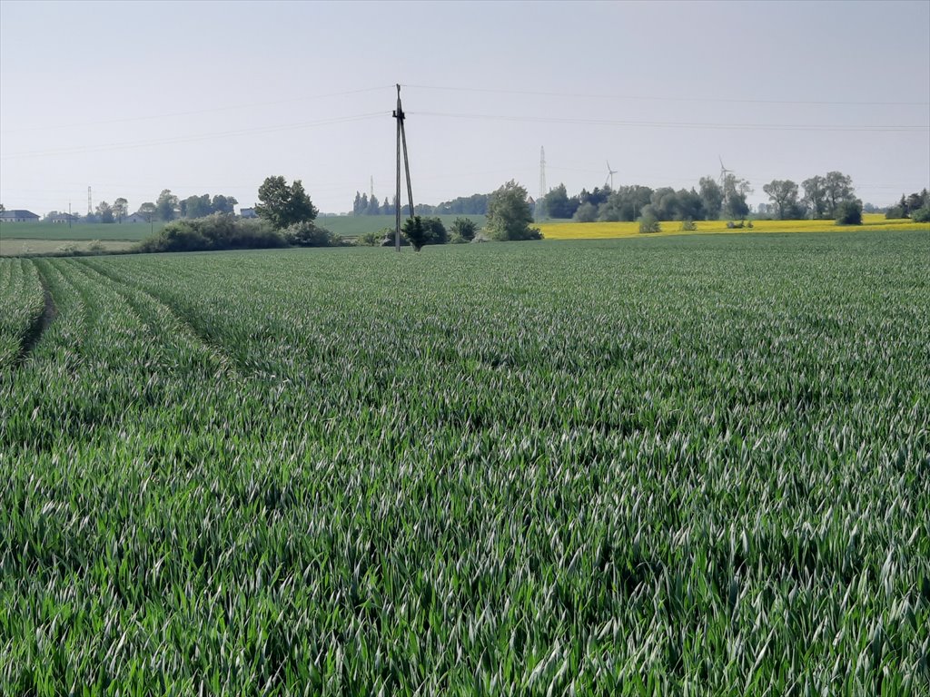 Działka gospodarstwo rolne na sprzedaż Wybcz  38 166m2 Foto 3