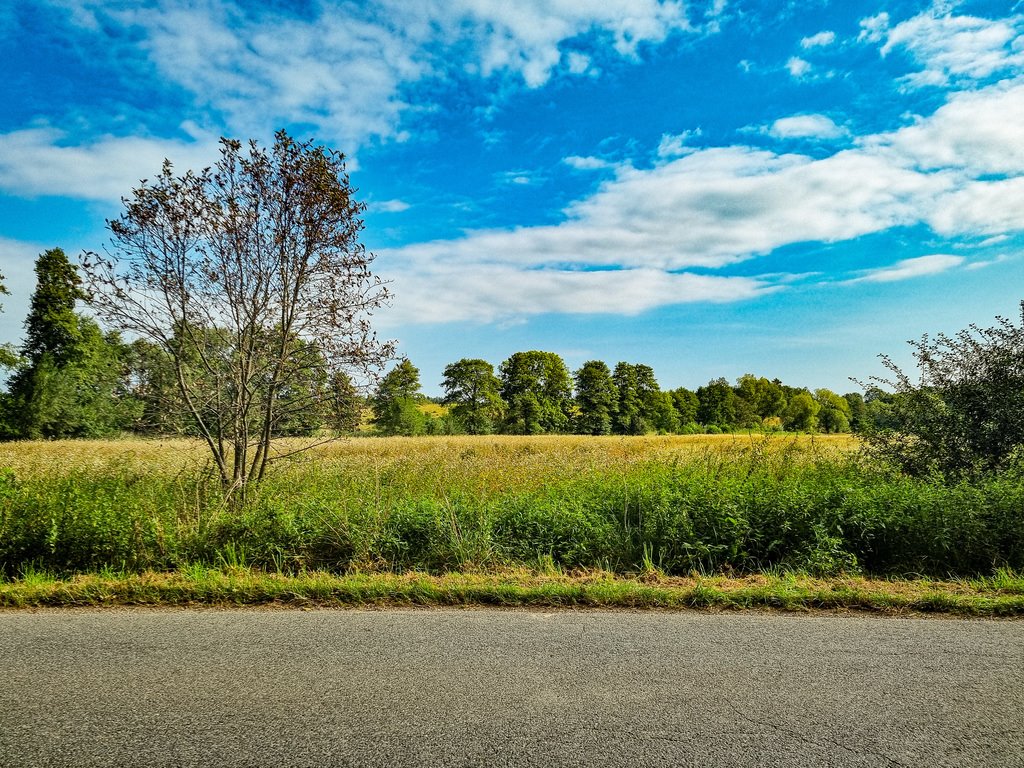 Działka inna na sprzedaż Wilkanów  1 500m2 Foto 5