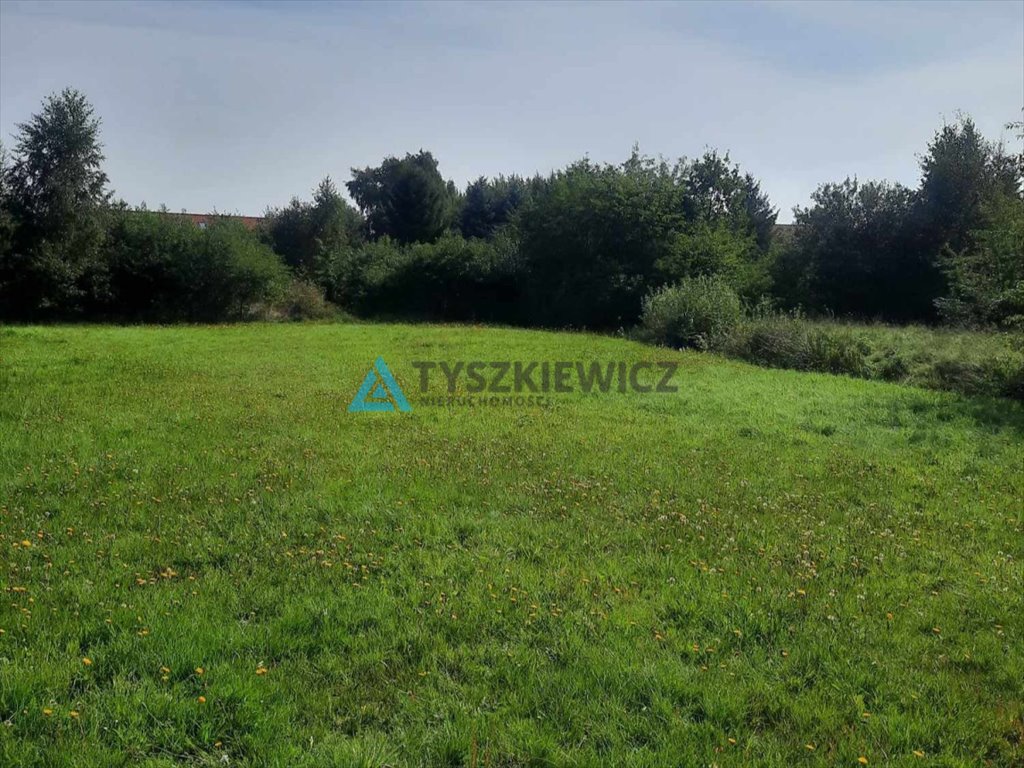 Działka przemysłowo-handlowa na sprzedaż Rowy, Jagodowa  1 000m2 Foto 2