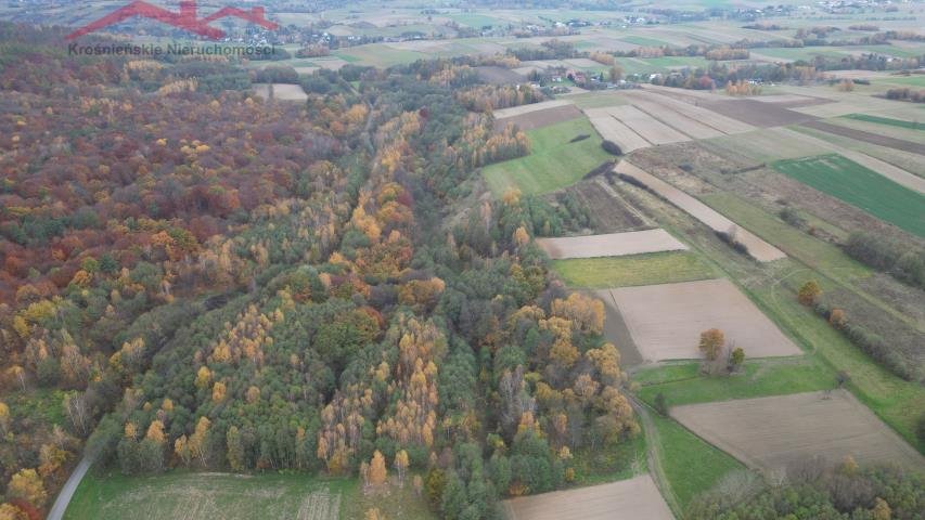 Na sprzedaż działka leśna 27 ar z potencjałem rekreacyjnym Piotrówka  2 700m2 Foto 1