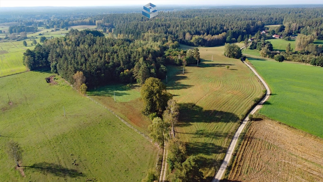 Działka budowlana na sprzedaż Molza  3 346m2 Foto 4