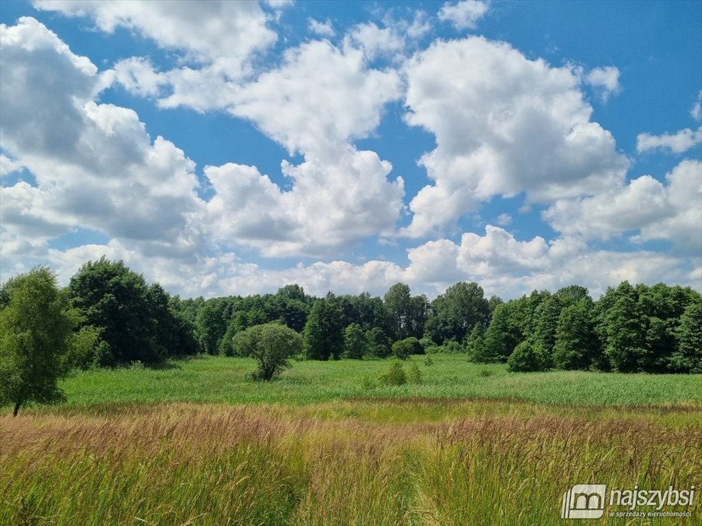 Działka rolna z widokiem na jezioro - 40 042 m² w Chociwlu Chociwel, obrzeża  40 042m2 Foto 1