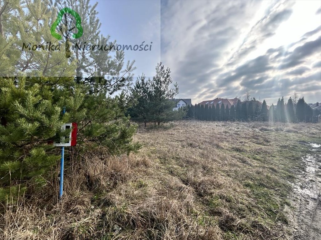 Działka budowlana na sprzedaż Rokitki, Polana Leśna  907m2 Foto 15