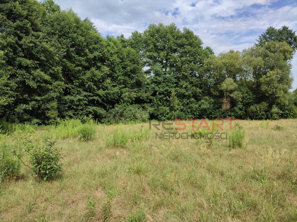 Działka z lasem, 1500 m² pod zabudowę, cisza i prywatność Adamów-Wieś  4 282m2 Foto 1