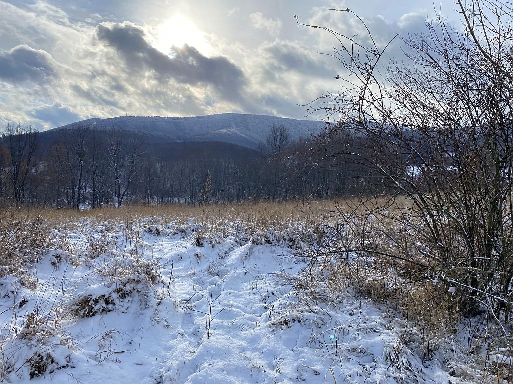 Działka budowlana na sprzedaż Ustroń, Jelenica  2 121m2 Foto 18