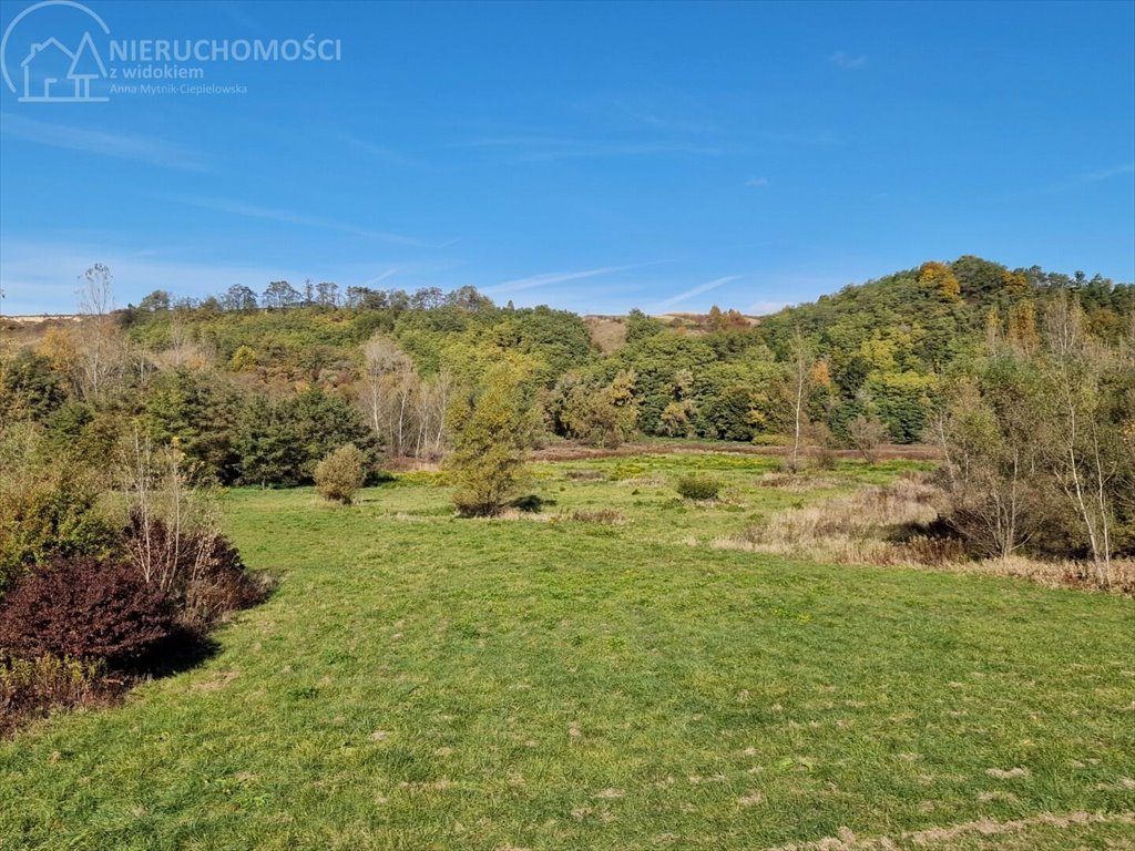 Działka rolna na sprzedaż Dąbrówka Morska  9 500m2 Foto 11