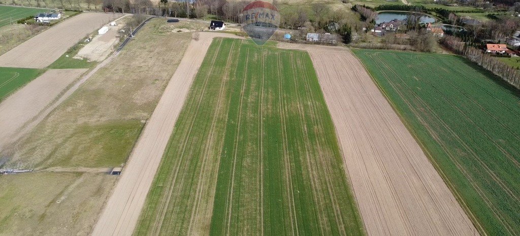 Działka siedliskowa na sprzedaż Nieżyn  1 041m2 Foto 8