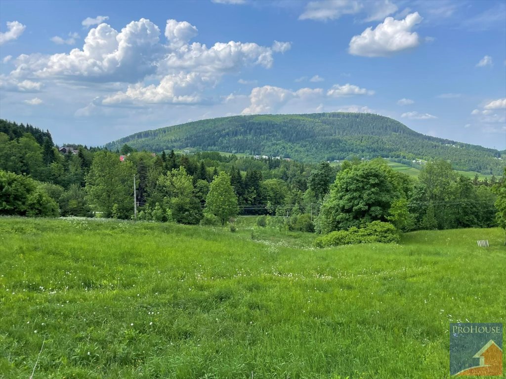 Działka rolna z możliwością zabudowy w Tymbarku, 36 arów Tymbark  3 680m2 Foto 1