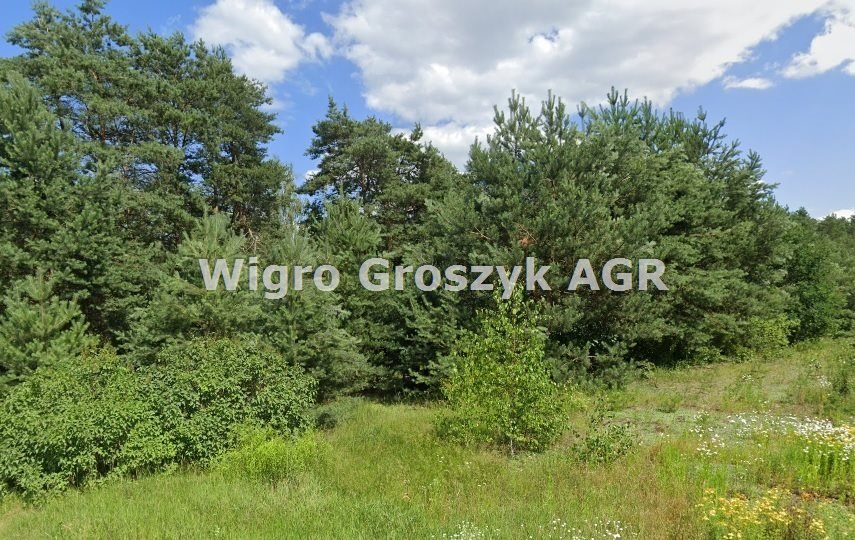 Zapraszam do zakupu działki 2283 m² z lasem w Wymysłach Wymysły  2 283m2 Foto 1