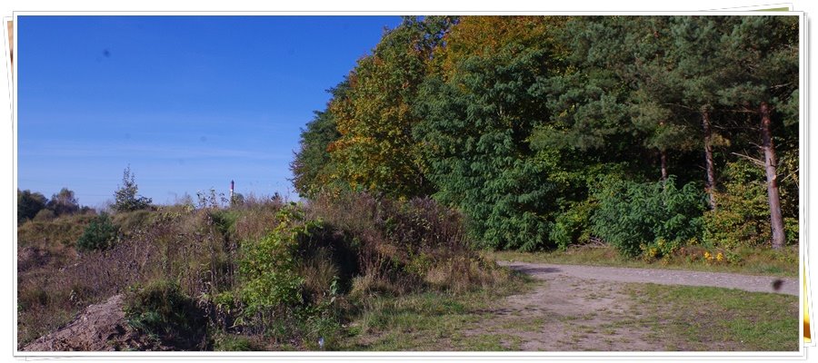 Działka rolna na sprzedaż Wejherowo, Śmiechowo, Fenikowskiego  8 970m2 Foto 12