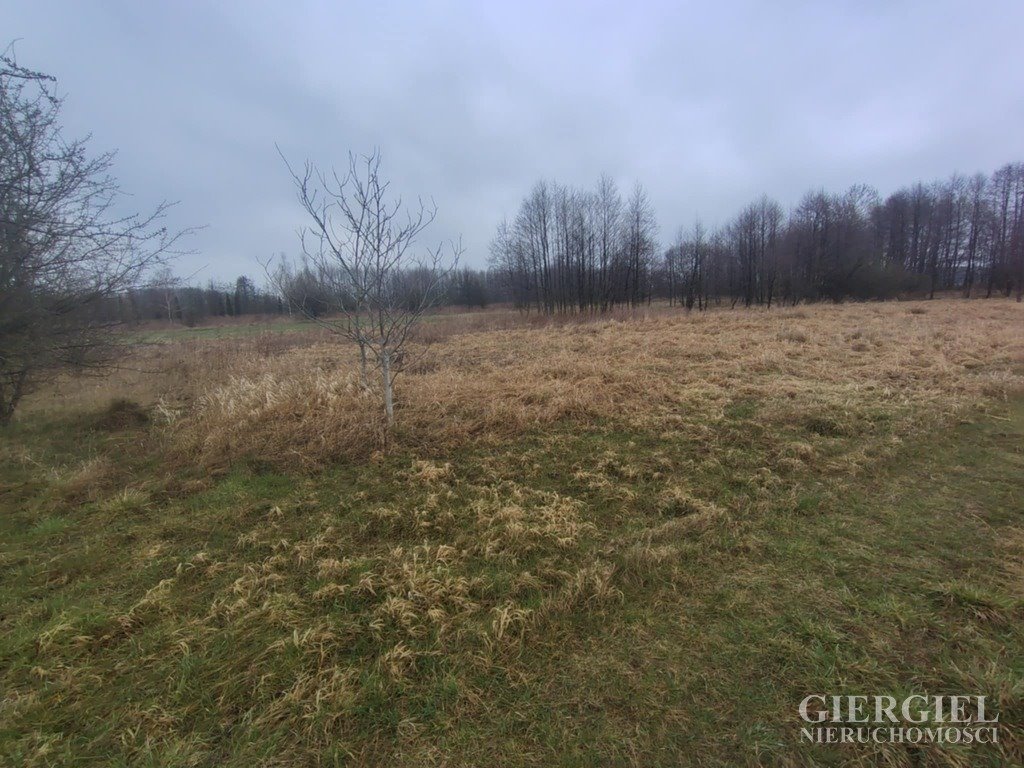 Działka rolna na sprzedaż Strażów  6 700m2 Foto 1