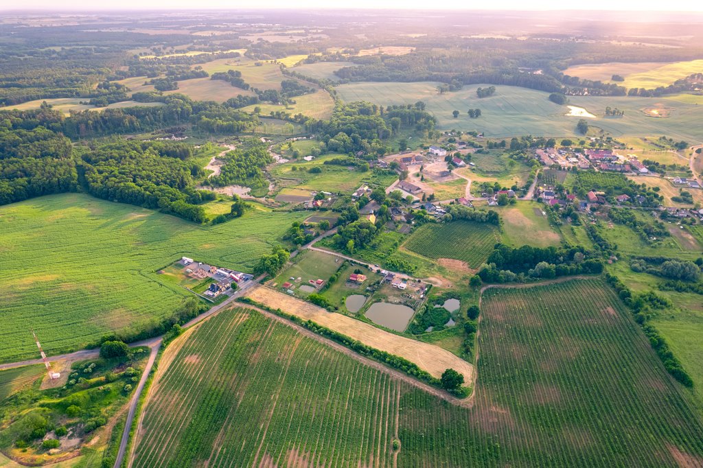 Działka rolna na sprzedaż Trzcińsko-Zdrój  7 926m2 Foto 15