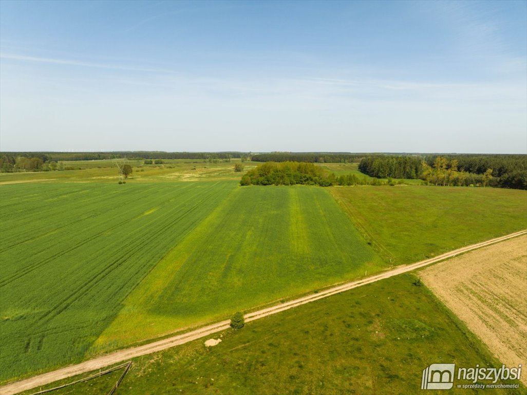 Działka rolna pod dzierżawę Przybiernów  15 202m2 Foto 6