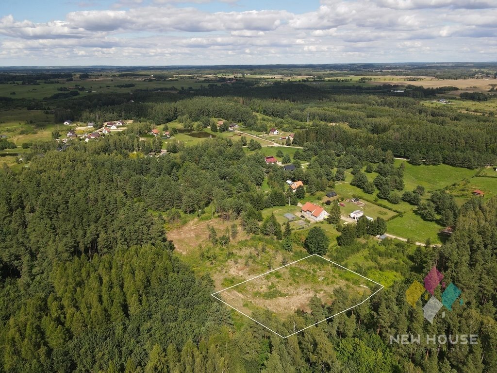 Malownicza działka z warunkami zabudowy w Dąbrówce Wielkiej polecam Dąbrówka Wielka  3 939m2 Foto 1