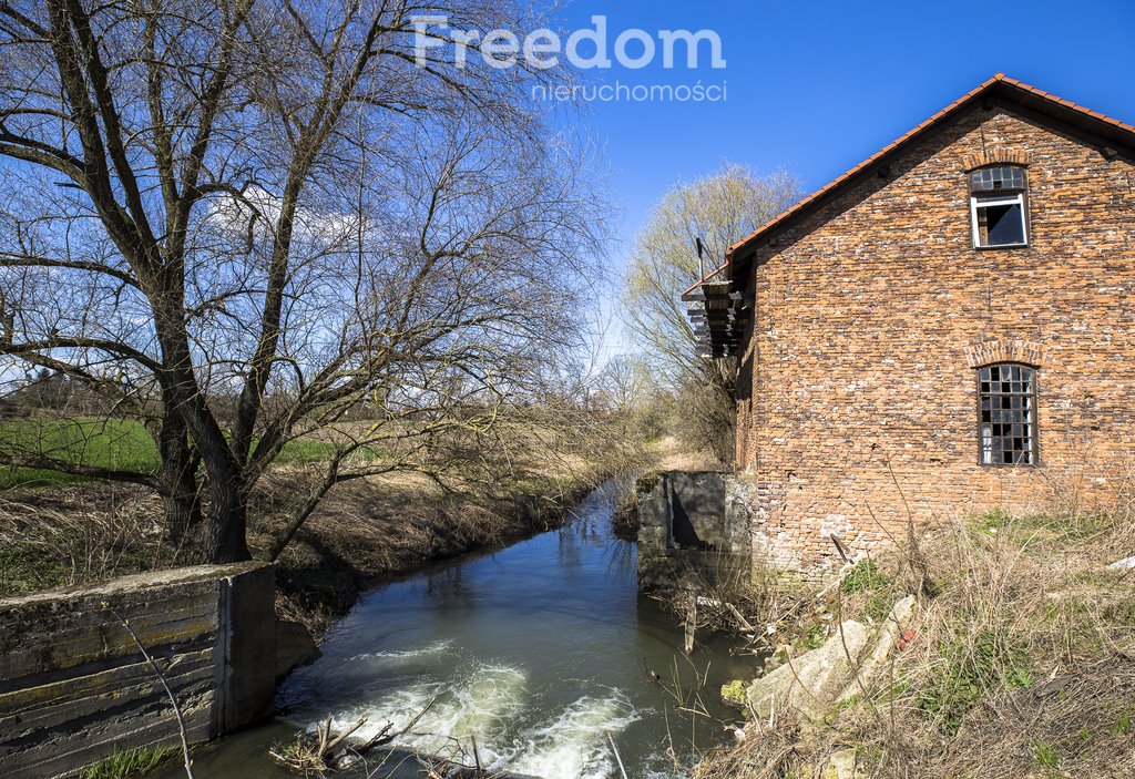 Lokal użytkowy na sprzedaż Ostrów  240m2 Foto 4