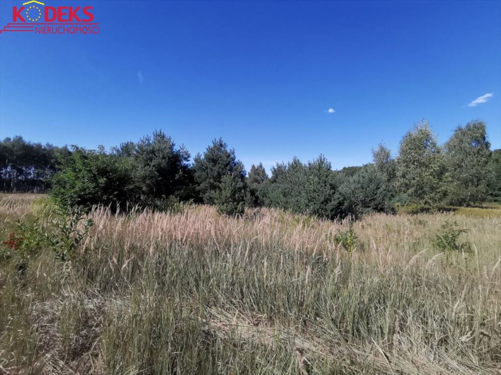 Działka 20 000 m² pod zabudowę i rekreację w Nowej Wsi Nowa Wieś  20 000m2 Foto 1