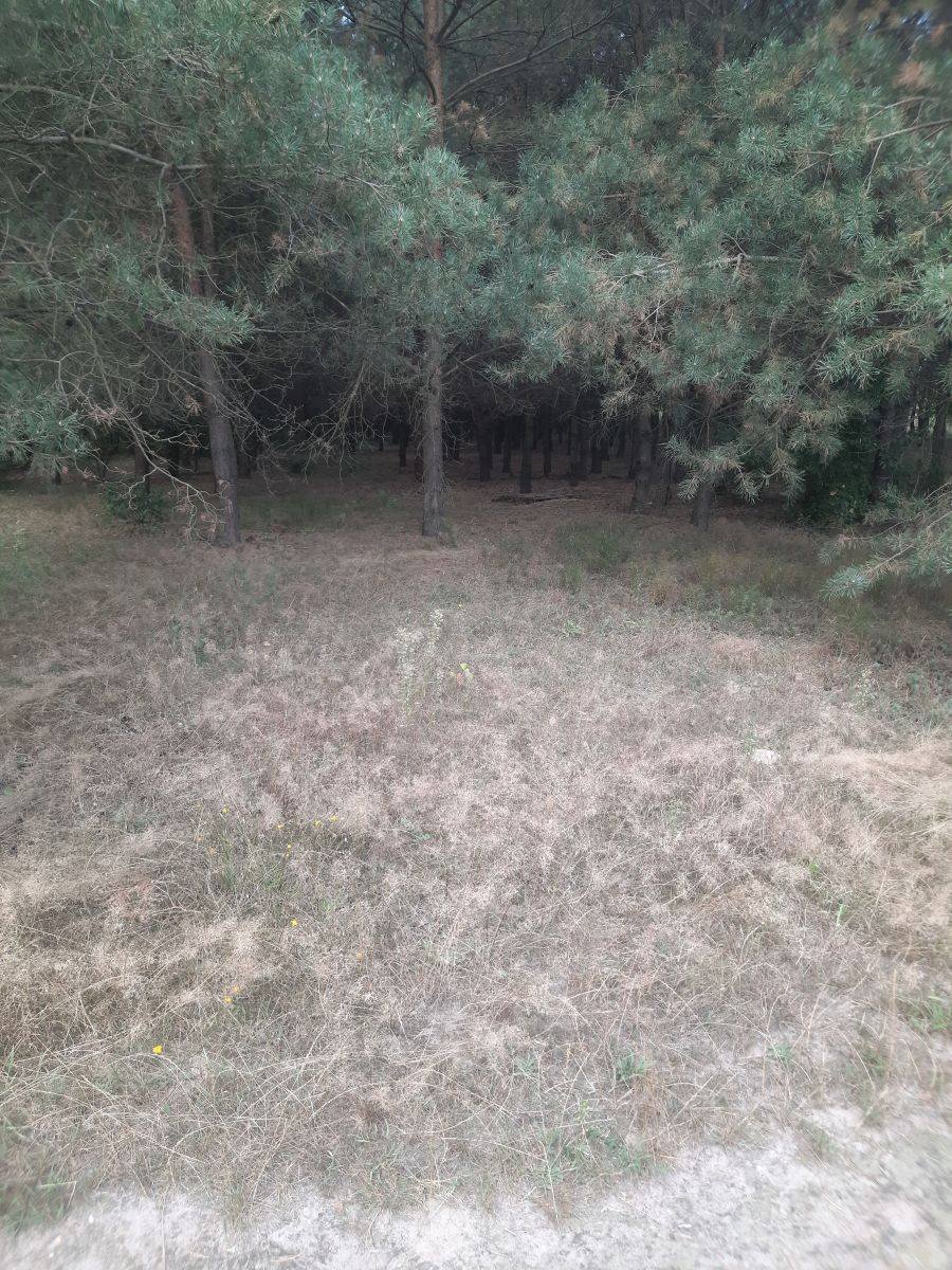 Działka budowlana na sprzedaż Kamionki  1 160m2 Foto 4