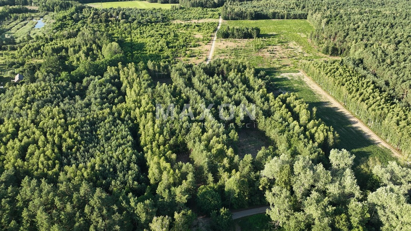 Działka budowlana na sprzedaż Przepitki  6 174m2 Foto 7