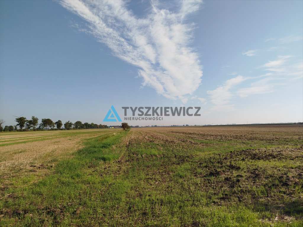 Działka rolna na sprzedaż Miłoradz  18 800m2 Foto 4