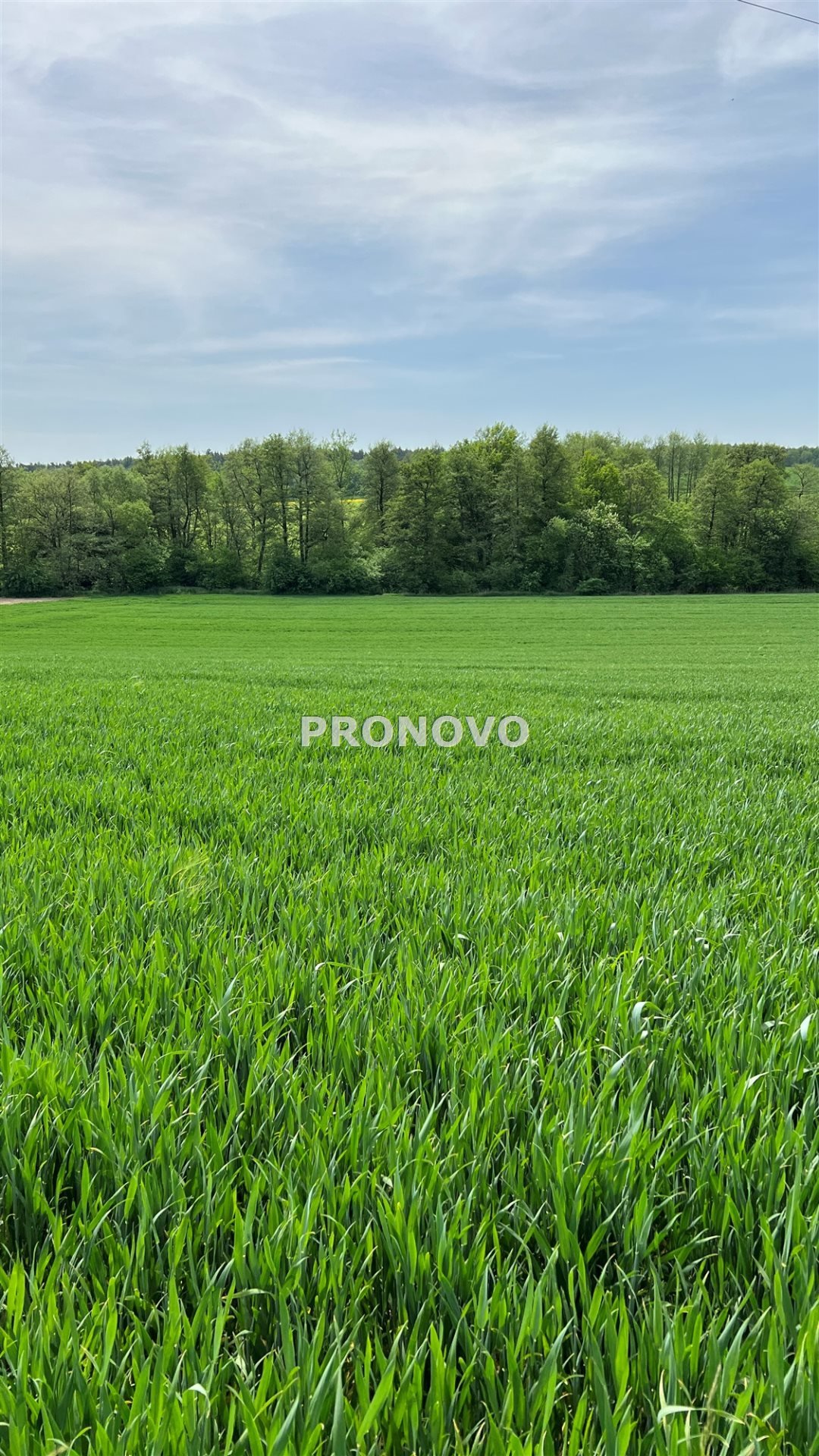 Działka budowlana na sprzedaż Borkowice, Borkowice  3 000m2 Foto 1