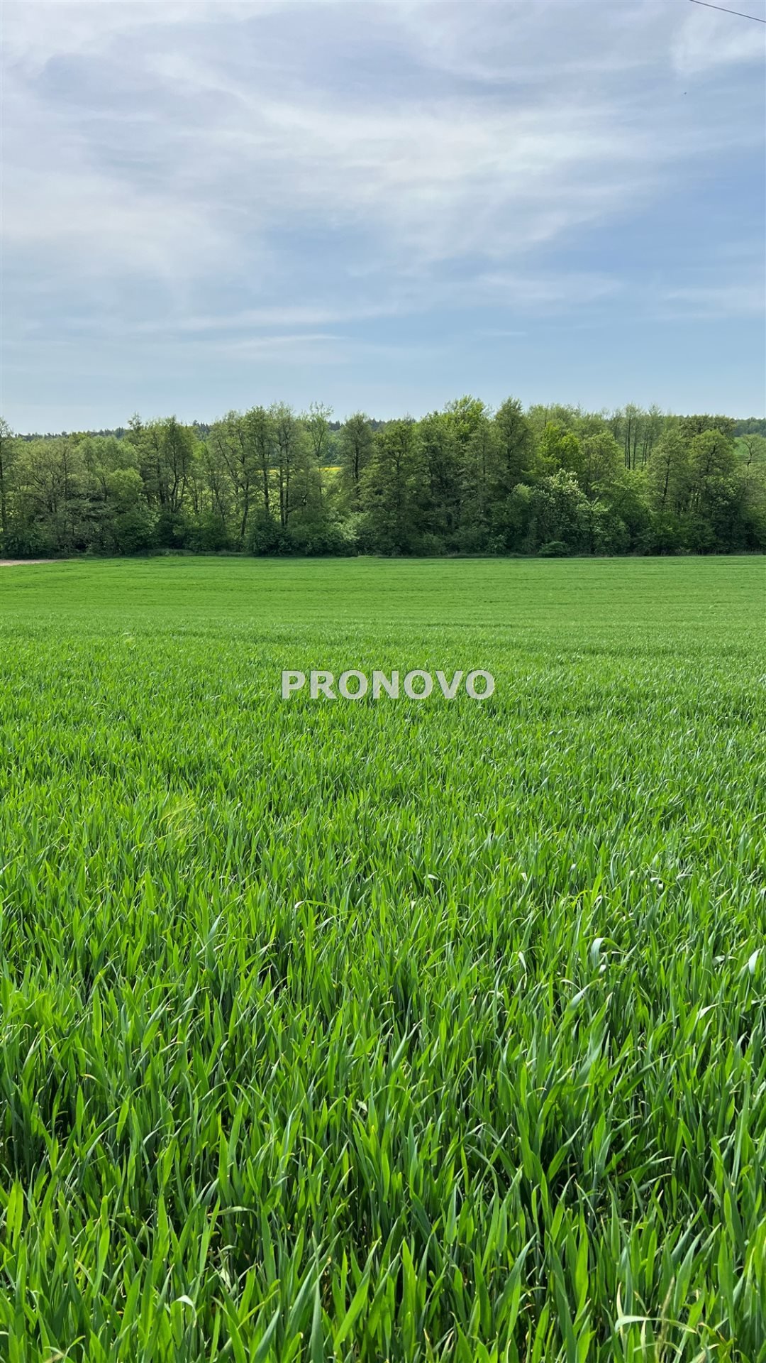 Sprzedam działkę siedliskową 30 arów pod dom w Borkowicach Borkowice, Borkowice  3 000m2 Foto 1