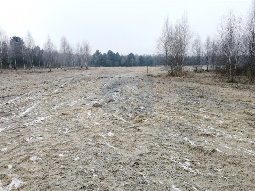 Działka budowlana na sprzedaż Wola Mokrzeska, Leśna  1 500m2 Foto 4