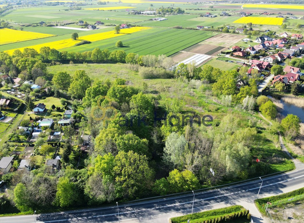 Działka inwestycyjna na sprzedaż Serby  18 900m2 Foto 4