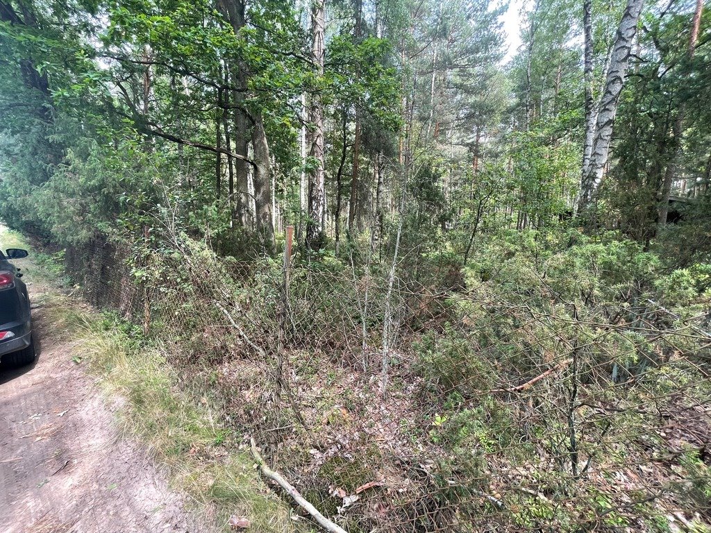 Działka budowlana na sprzedaż Ruda  1 500m2 Foto 3