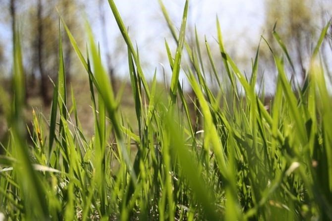 Działka 3275 m2 z dostępem do drogi i lasem w Lyski Lyski, Wyzwolenia  3 275m2 Foto 1