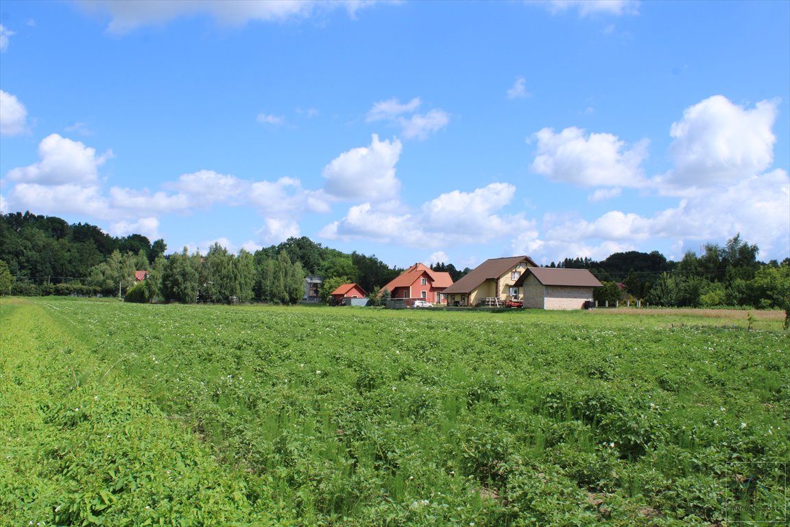 Działka budowlana na sprzedaż Winiary  10 200m2 Foto 4