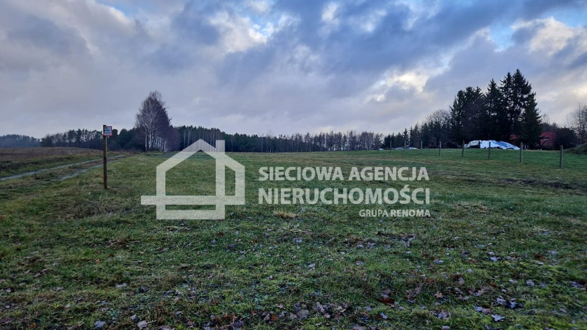 Polecam malowniczą działkę 3000 m² z dostępem do jeziora Przęsin  3 000m2 Foto 1