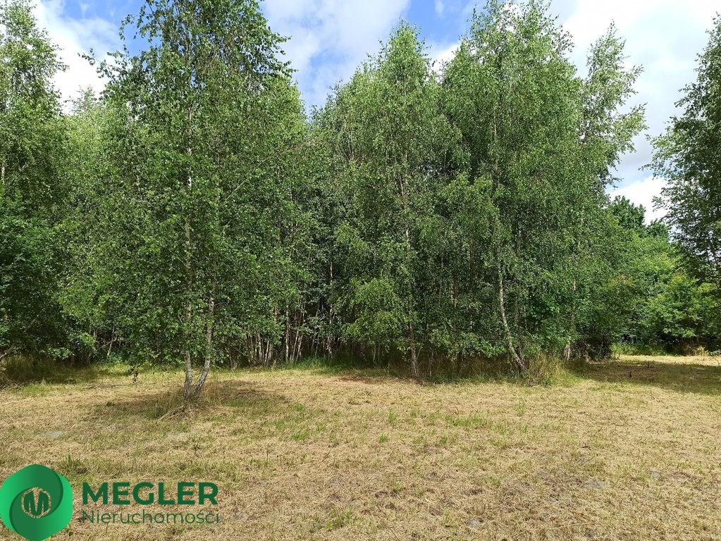 Działka budowlana na sprzedaż Rusiec  1 000m2 Foto 4